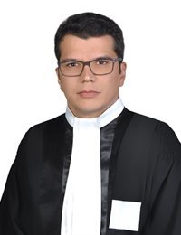 وکیل محمد احمدی