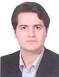 وکیل هادی محمدی