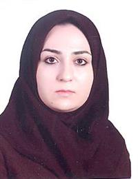 وکیل الناز عبدالهی