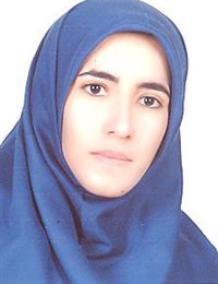 وکیل پریسا ولی زاده