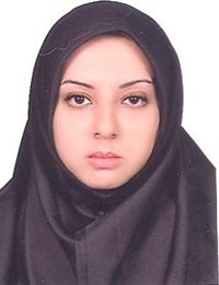 وکیل سناء کرمی