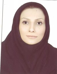 وکیل شتاو مبتدی