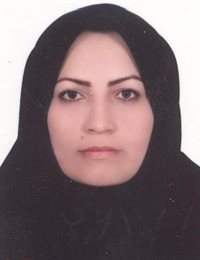 وکیل خدیجه ممی زاده نیری