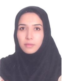 وکیل رقیه دیندار بوسجین