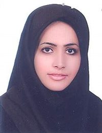 وکیل پرتو برهان پوری