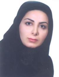 وکیل محجوبه الیاسی