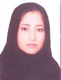 وکیل شاداب مهرکی