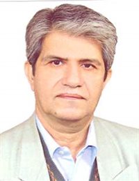 وکیل داود روحی جویباری