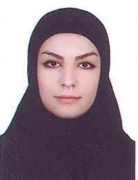 وکیل پوران محمدی