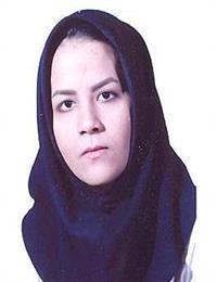 وکیل صفا نصیری