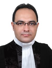 وکیل هادی محمدی