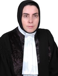 وکیل آذر محمدی انائی