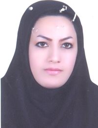 وکیل مرضیه هاشمی مزیدی