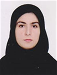 وکیل شلیر فتوحی سرا