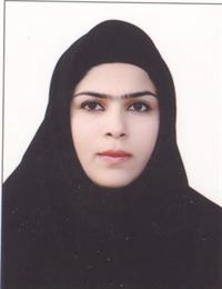 وکیل سیده المیرا آتشی