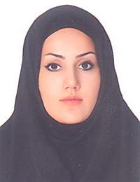 وکیل شقایق واحد