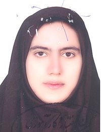 وکیل مرضیه محمدی