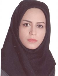 وکیل اکرم محمدی