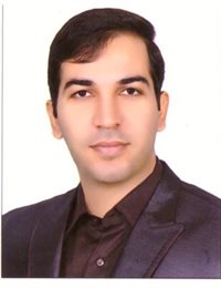وکیل حسن گرگین