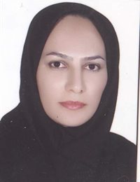 وکیل نگار گیتوی