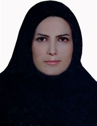 وکیل هانیه حسین زاده