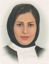 وکیل نیکا فلامرزی
