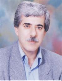 وکیل سیدعلی باقری تبار