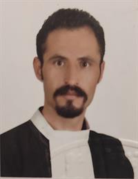 وکیل محمدعلی ویسی