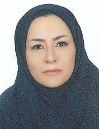 وکیل سمیه قلعه نوئی