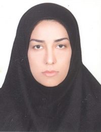 وکیل نهضت حیدری