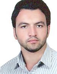 وکیل سیدمجید رضوی