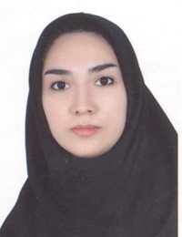 وکیل انیس واحدی