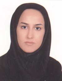 وکیل هدیه زرهونه