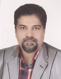 وکیل مجتبی ملک
