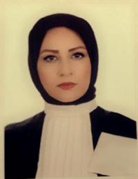 وکیل مریم سلطانی