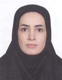 وکیل مهدیه فراهانی