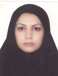 وکیل اکرم تولی