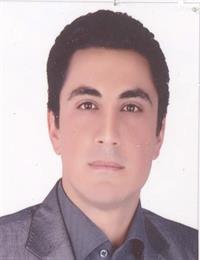 وکیل سیدعلی میرصفائی ریزی