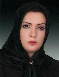 وکیل مینا رویان