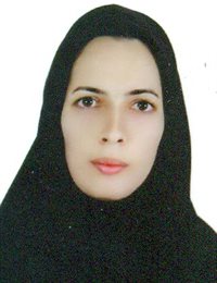 وکیل مرضیه ربیعی 