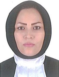 وکیل حمیده محمدی
