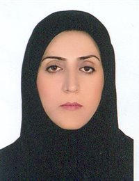 وکیل گلچین محمدی