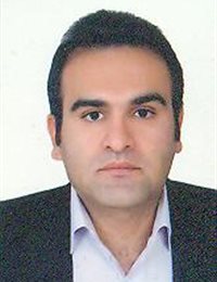 وکیل میثم میرهاشمی