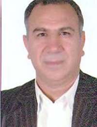 وکیل محمد عرب زاده