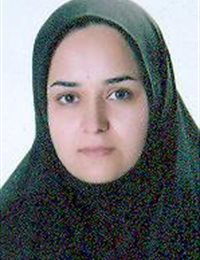 وکیل راضیه محمدی شولی