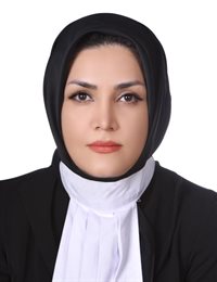 وکیل حمیده میهن دوست