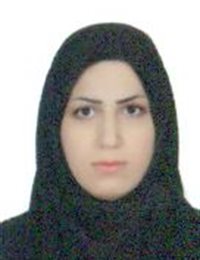 وکیل فاطمه رجبلو