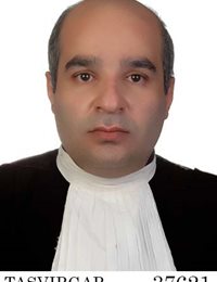 وکیل علی نبی