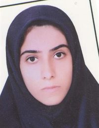وکیل سرگل میرزائی مله