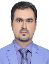 وکیل رضا کرمی